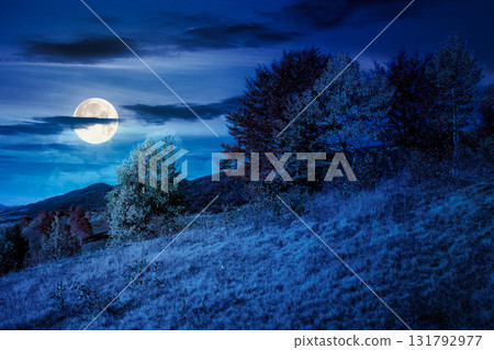mountain landscape in autumn at night. beautiful view with trees in colorful foliage. picturesque rural place in alps in full moon light. countryside scenery 131792977