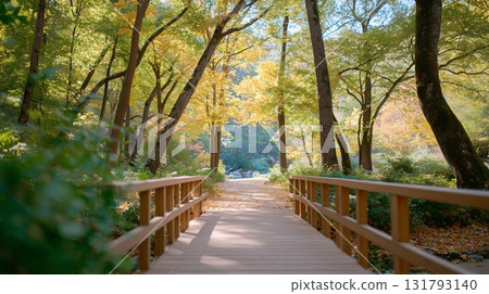 秋季紅葉季節,步道上的橋樑被大自然環繞 秋季紅葉季節,步道上的橋樑被大自然環繞 131793140
