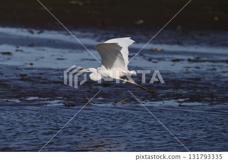 Flying Daisuke 131793335