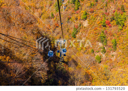 新潟縣苗場龍都的秋景 新潟縣苗場龍都的秋景 131793520
