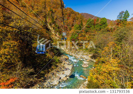Autumn scenery from Naeba Dragon Dora in Niigata Prefecture 131793536