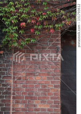 Brick wall and red leaves 131793612