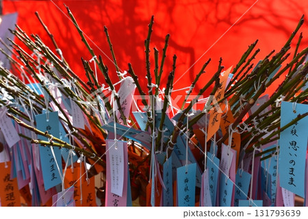 Plum branches at Kitano Tenmangu Shrine - as you wish 131793639