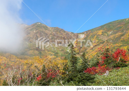 栂池自然公園壯麗的秋葉景色 131793644