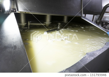 Mozzarella cheese factory. Produces handmade mozzarella with fresh milk, close up Mozzarella cheese factory. Produces handmade mozzarella with fresh milk, close up 131793946
