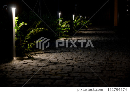 Landscape design and night lighting of an alley in a residential complex 131794374