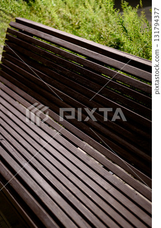 A fragment of a modern landscape design. a wooden bench and a bush. 131794377