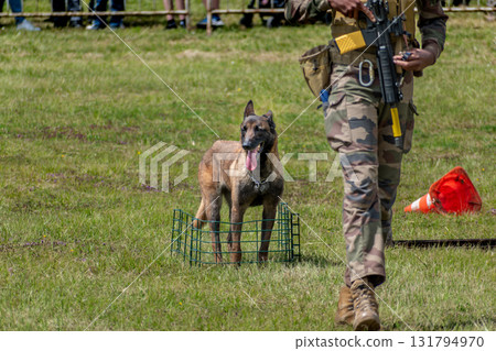 Military dog and military dog trainer, dog team Military dog and military dog trainer, dog team 131794970