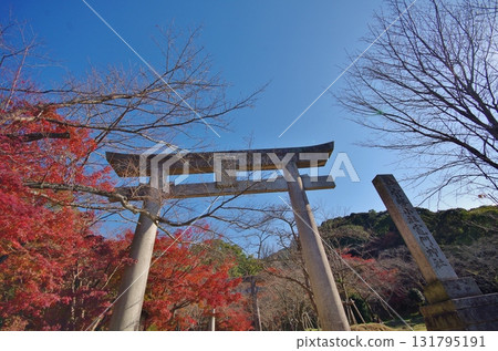 太宰府市：灶門神社參拜道的紅葉 131795191