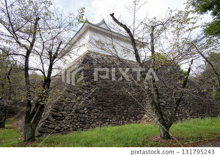 Ise Kameyama Castle - The remaining Honmaru Tamon Tower and stone walls Ise Kameyama Castle - The remaining Honmaru Tamon Tower and stone walls 131795243