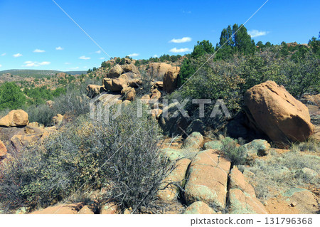 Kaibab National Forest Arizona 131796368