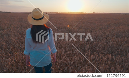 Take a Serene and Peaceful Sunset Walk in the Golden Wheat Field under the tranquil sky Take a Serene and Peaceful Sunset Walk in the Golden Wheat Field under the tranquil sky 131796591