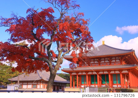 Autumn leaves around the Chukondo Hall of Kofuku-ji Temple (Nara City, Nara Prefecture) Reconstructed for the first time in 300 years 131796726
