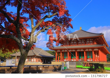 興福寺中金堂週邊的紅葉（奈良縣奈良市）時隔300年再次重建 131796727
