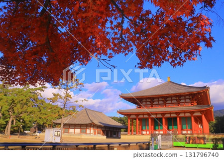 Autumn leaves around the Chukondo Hall of Kofuku-ji Temple (Nara City, Nara Prefecture) Reconstructed for the first time in 300 years 131796740