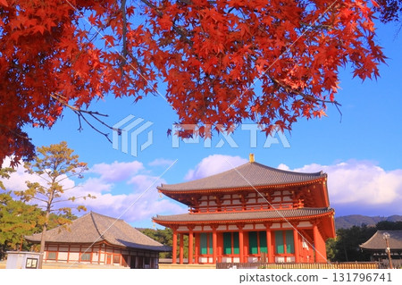 興福寺中金堂週邊的紅葉（奈良縣奈良市）時隔300年再次重建 131796741