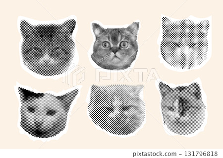 Cat head halftone collage sticker set, trendy collection portrait retro y2k pet, funky emoticon animal, pop aesthetic. Meme head with speech bubble. Funny kitty. Cat head halftone collage sticker set, trendy collection portrait retro y2k pet, funky emoticon animal, pop aesthetic. Meme head with speech bubble. Funny kitty. 131796818