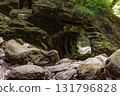 Golden Falls in Yoro Valley in summer, Otaki Town, Chiba Prefecture 131796828