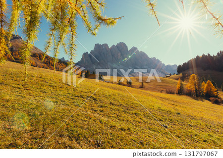 Autumn sun shines on a grassy meadow with wooden huts and mountains Autumn sun shines on a grassy meadow with wooden huts and mountains 131797067