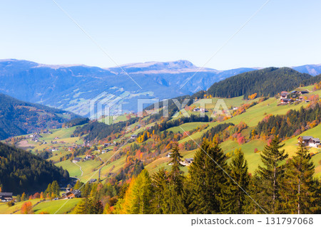 Autumn colors in the Italian Dolomites with scattered farmhouses and evergreen trees Autumn colors in the Italian Dolomites with scattered farmhouses and evergreen trees 131797068