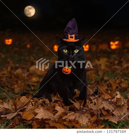 A smug black cat with a Halloween background 131797384