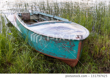 An old green boat lies in tall grasses and reed beside a lake An old green boat lies in tall grasses and reed beside a lake 131797425
