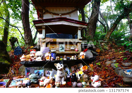 Cat Shrine, Cat God, Tashirojima, Cat Island, Cat 131797574