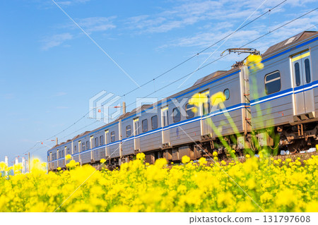 台灣火車行駛過油菜花海的瞬間景象 台灣火車行駛過油菜花海的瞬間景象 131797608