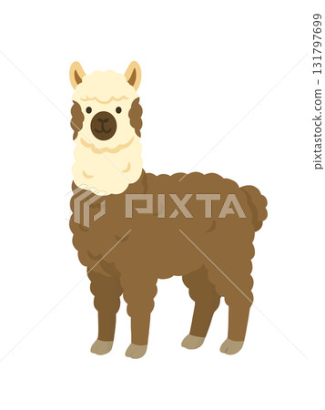 Illustration of alpaca 131797699