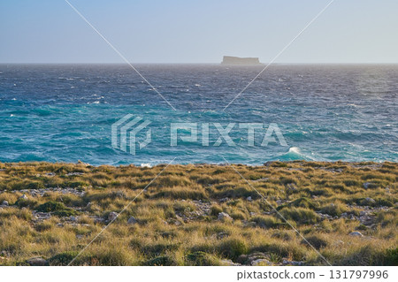 Filfla Island bird sanctuary on horizon with rugged Malta coast and blue sea 131797996