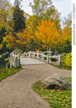 Autumn park footbridge with golden trees along gravel path Autumn park footbridge with golden trees along gravel path 131798037