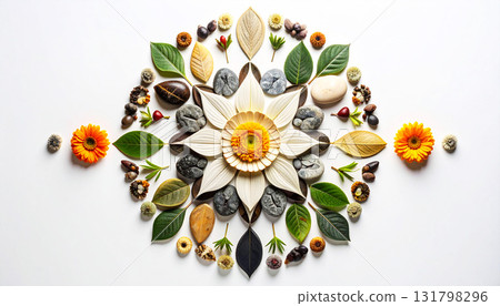 Sacred geometry mandala created with natural objects including flowers, leaves, seeds, and stones. Harmonious arrangement symbolizing balance, mindfulness, and holistic wellness 131798296