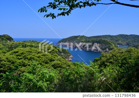 Iwami Hamada Castle 067 Matsubara Bay seen from the main enclosure 131798436