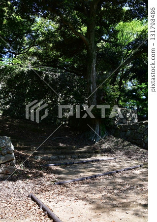 Iwami Hamada Castle 020 Ninomaru stone wall 131798486