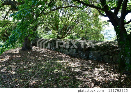 Iwami Hamada Castle 033 Honmaru Stone Wall Iwami Hamada Castle 033 Honmaru Stone Wall 131798525