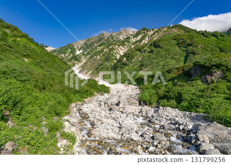 Large snowfield on Mt. Shirouma03 131799256