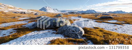 3d high-altitude tundra with sparse snow and rocky moss terrain under a pale blue sky. 3D landscape scenery 131799358