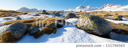 Panoramic high-altitude tundra plain with sparse snow patches and rocky moss-covered terrain under a pale blue arctic sky. 3D landscape scenery 131799365