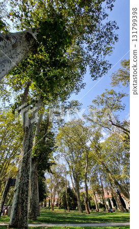 Istanbul, Turkey. Gulhane park in Turkey. Gulhane cistern. 131799398