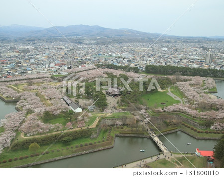 Sakura no Hoshi! Cherry blossoms in Goryokaku Park as seen from Goryokaku Tower. Sakura no Hoshi! Cherry blossoms in Goryokaku Park as seen from Goryokaku Tower. 131800010