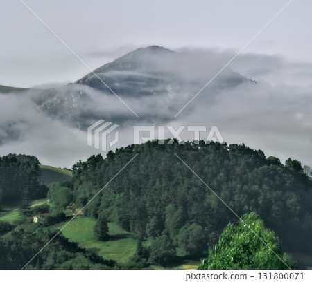 Txindoki Mountain with Forest 131800071