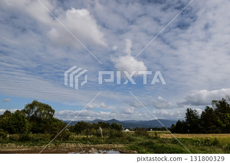 October rural scenery with spreading clouds and a pleasant blue sky 131800329