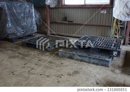 稻農春季播種 131800851