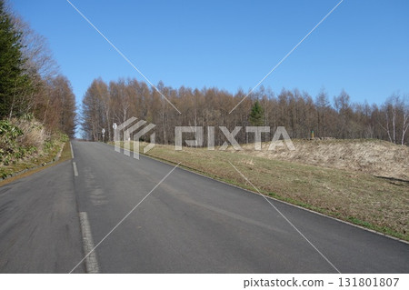 Spring trees, woods and forest landscape 131801807