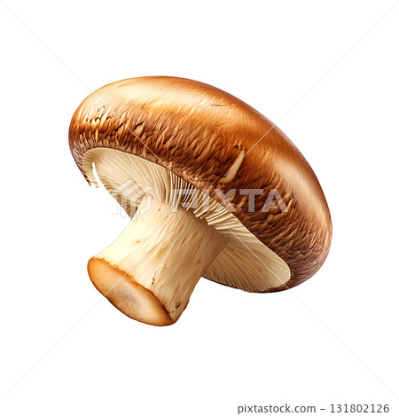 Close up shows a large brown mushroom beside some rosemary on transparent background 131802126