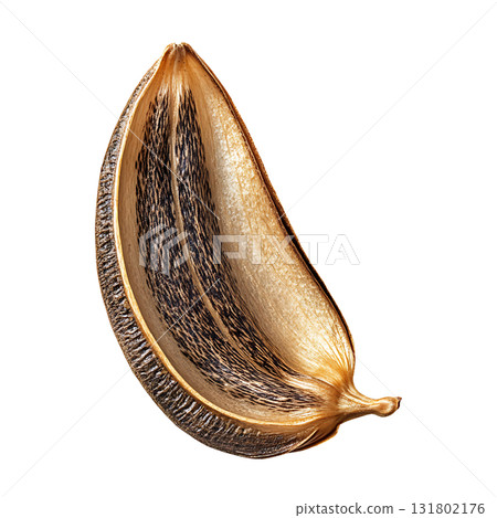 Detailed Half Seed Pod Still Life, on Transparent Background 131802176