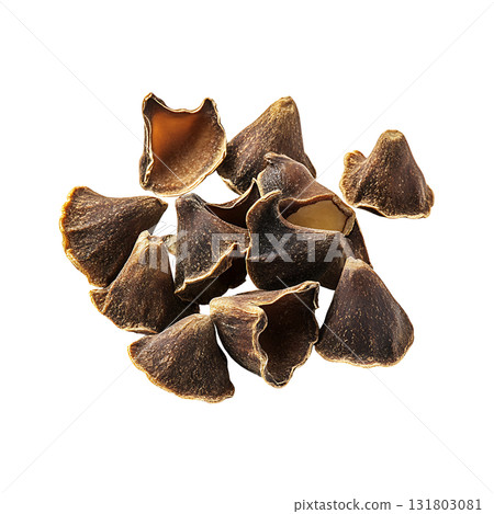 Pile of brown seed pods are scattered on transparent background 131803081
