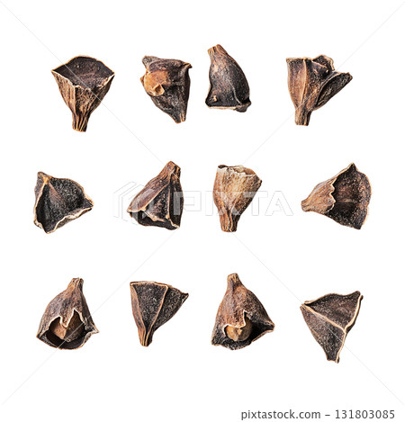 Several distinct eucalyptus nuts are displayed gracefully on transparent background Several distinct eucalyptus nuts are displayed gracefully on transparent background 131803085