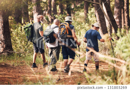 Hiking, trekking and group of friends in forest for adventure, freedom and cardio wellness on mountain trail. Travel, sports and back of senior hikers for exercise, fitness and walking in retirement 131803269