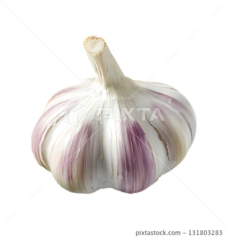 One bulb of whole garlic with prominent purple streaks is displayed on transparent background 131803283
